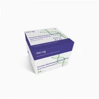 Kit de ensayo de PCR en tiempo real del virus del monkeoypox humano (MPV)